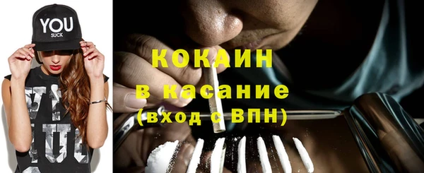 ГАЛЛЮЦИНОГЕННЫЕ ГРИБЫ Аркадак