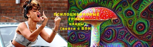 крисы Алексин