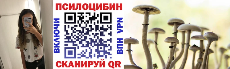 наркота  Исилькуль  Псилоцибиновые грибы Magic Shrooms 
